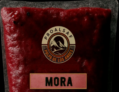 Pulpa de Mora